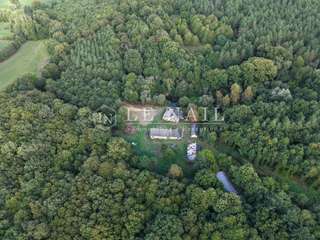 Bois, forêt et étang