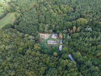 Bois, forêt et étang Bois, forêt et étang