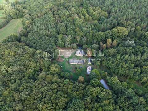 Bois, forêt et étang