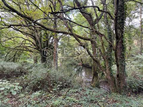 Bois, forêt et étang