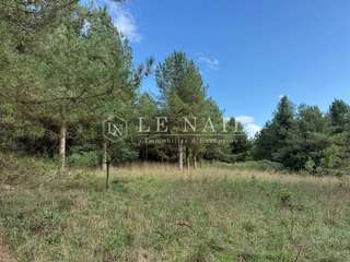 Bois, forêt et étang