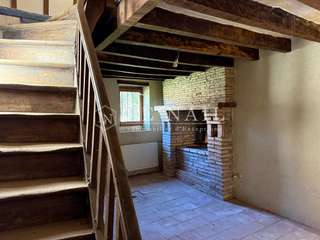 Bois, forêt et étang