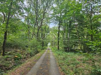 Vente Bois, forêt et étangChâteau-Gontier