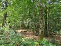 Bois, forêt et étang Bois, forêt et étang