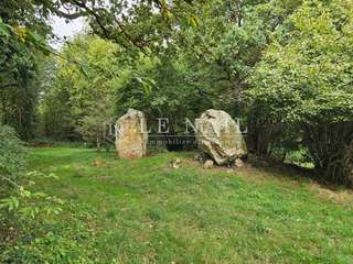 Bois, forêt et étang