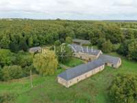 Bois, forêt et étang