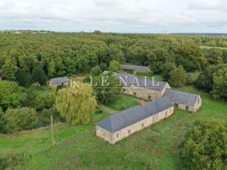 Bois, forêt et étang