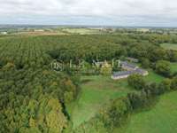 Bois, forêt et étang