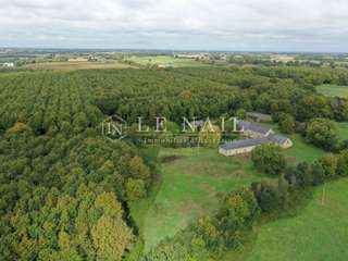 Bois, forêt et étang