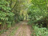 Bois, forêt et étang