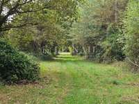 Bois, forêt et étang