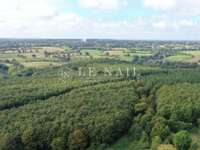 Bois, forêt et étang Houssay - 53