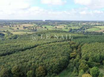 Photo Bois, forêt et étang Houssay