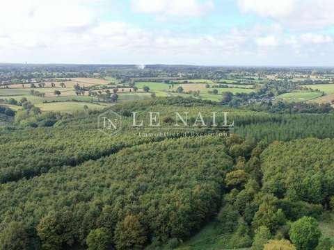 Bois, forêt et étang Houssay 53