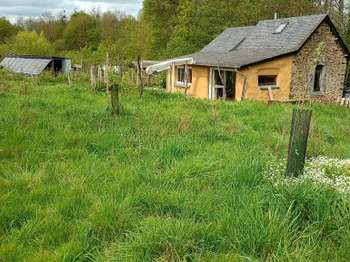 Bois, forêt et étang Bois, forêt et étang