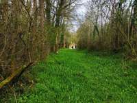 Bois, forêt et étang Bois, forêt et étang