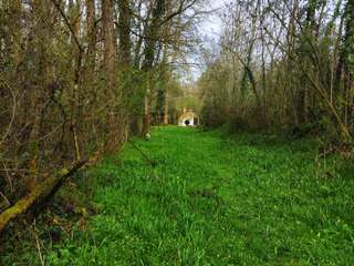 Bois, forêt et étang