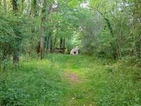 Bois, forêt et étang Bois, forêt et étang