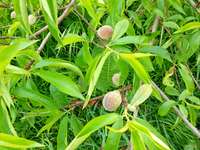 Bois, forêt et étang Bois, forêt et étang