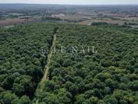 Bois, forêt et étang Bois, forêt et étang