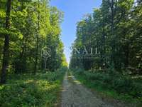 Bois, forêt et étang Bois, forêt et étang