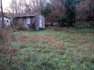 Bois, forêt et étang 1 pièce