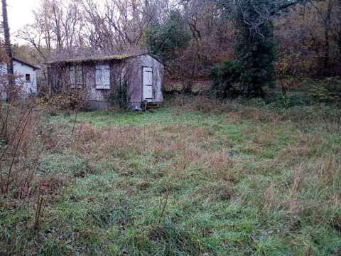 Bois, forêt et étang 1 pièce