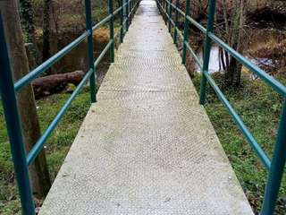 Bois, forêt et étang 1 pièce