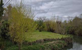 Photo Bois, forêt et étang Mézières-sur-Ponthouin