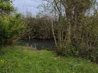 Bois, forêt et étang Bois, forêt et étang