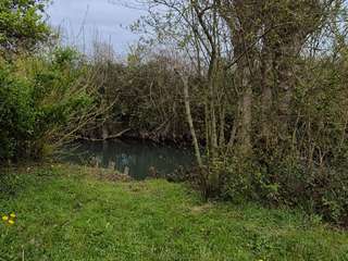 Bois, forêt et étang