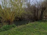 Bois, forêt et étang Bois, forêt et étang