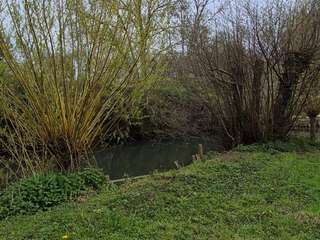 Bois, forêt et étang