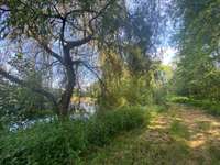 Bois, forêt et étang Bois, forêt et étang
