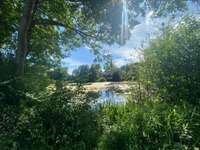 Bois, forêt et étang Bois, forêt et étang