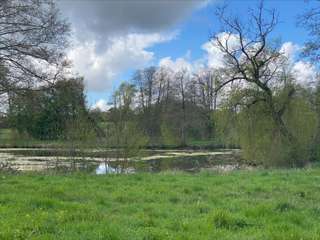 Bois, forêt et étang Bois, forêt et étang