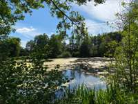 Bois, forêt et étang Bois, forêt et étang