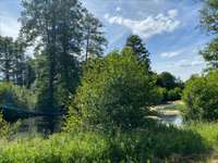 Bois, forêt et étang Bois, forêt et étang