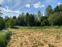 Bois, forêt et étang Bois, forêt et étang