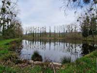 Bois, forêt et étang Bois, forêt et étang