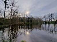 Bois, forêt et étang Bois, forêt et étang