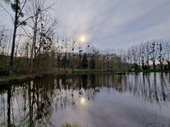 Bois, forêt et étang Bois, forêt et étang