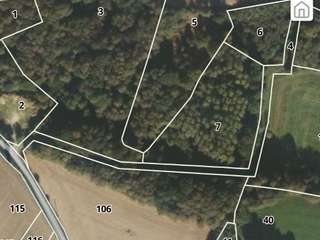 Bois, forêt et étang