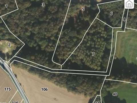 Bois, forêt et étang