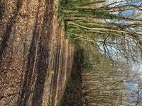 Bois, forêt et étang Bois, forêt et étang