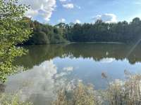 Bois, forêt et étang Bois, forêt et étang