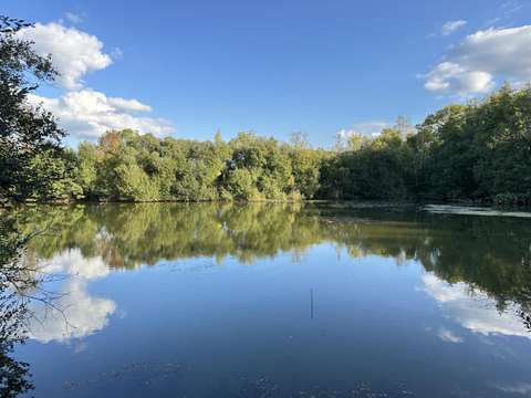 Bois, forêt et étang