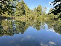 Bois, forêt et étang Bois, forêt et étang