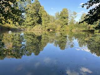 Bois, forêt et étang