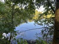 Bois, forêt et étang Bois, forêt et étang